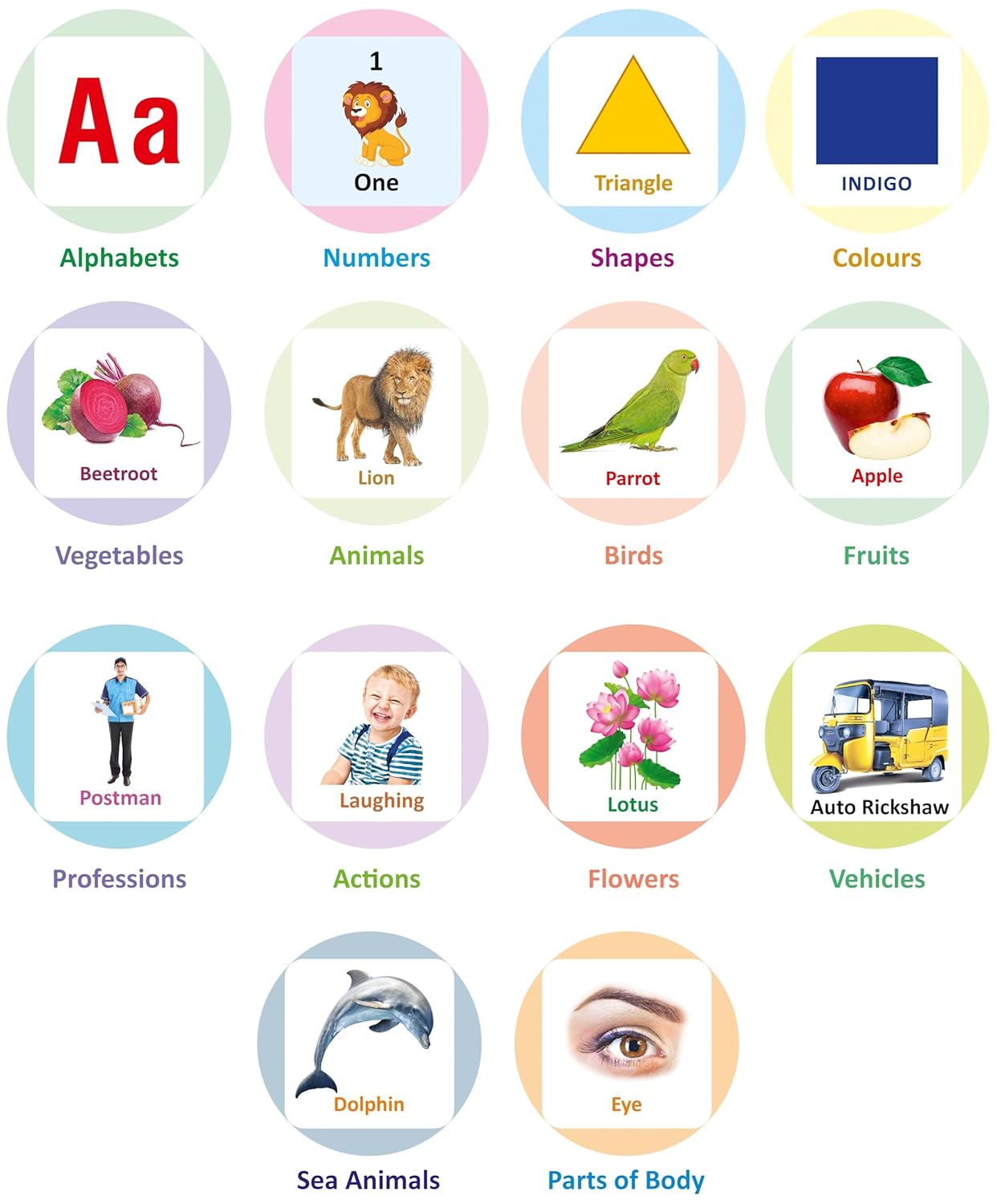 Durable All-in-One Flash Cards Book | Educational Learning Toy for Toddlers (1-6 Years)